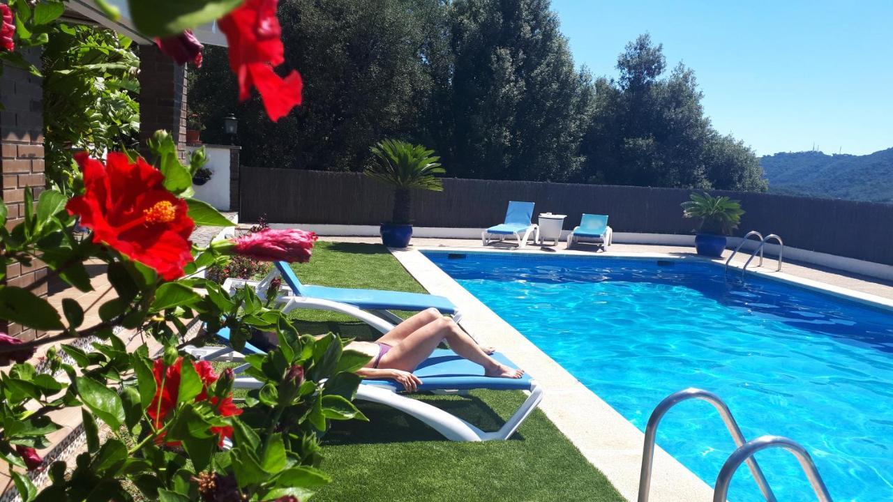 Sea View, Wonderful Pool, Nature, Peaceful * Sant Cebria de Vallalta